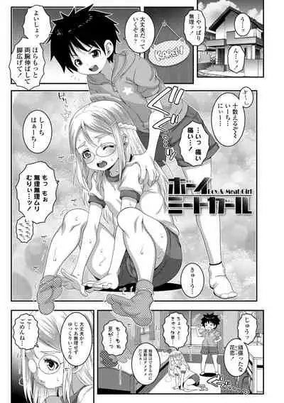 Soutaisei Virgin Theory