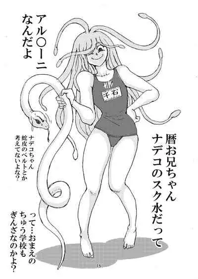 [Mimesis (Nekookaji Tayo)] Honto wa Eroi Obakemonogatari (Bakemonogatari) [Digital]