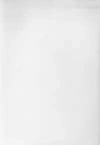 (C69) [Amazake Hatosyo-ten (Yoshu Ohepe)] Haru Ichigo Vol. 4 - Spring Strawberry Vol. 4 (Ichigo 100%) [English] [Brolen]