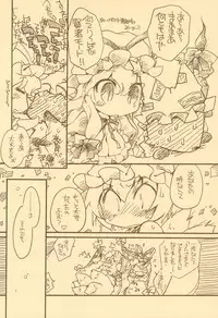 (Kouroumu 5) [Hinaprin (Ikuta Takanon)] Toriko Jikake no Orange. (Touhou Project)