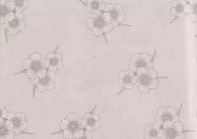 史上名妓 风尘侠女-小凤仙(辜国兴 2013年11月)