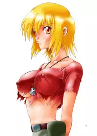 (C64) [Hotel California (Natsuno Suika)] Freedom_DL (Gundam SEED) [Digital]