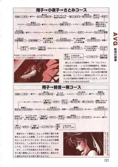 PC Bishoujo Software Strategy Book: Strategy King 2