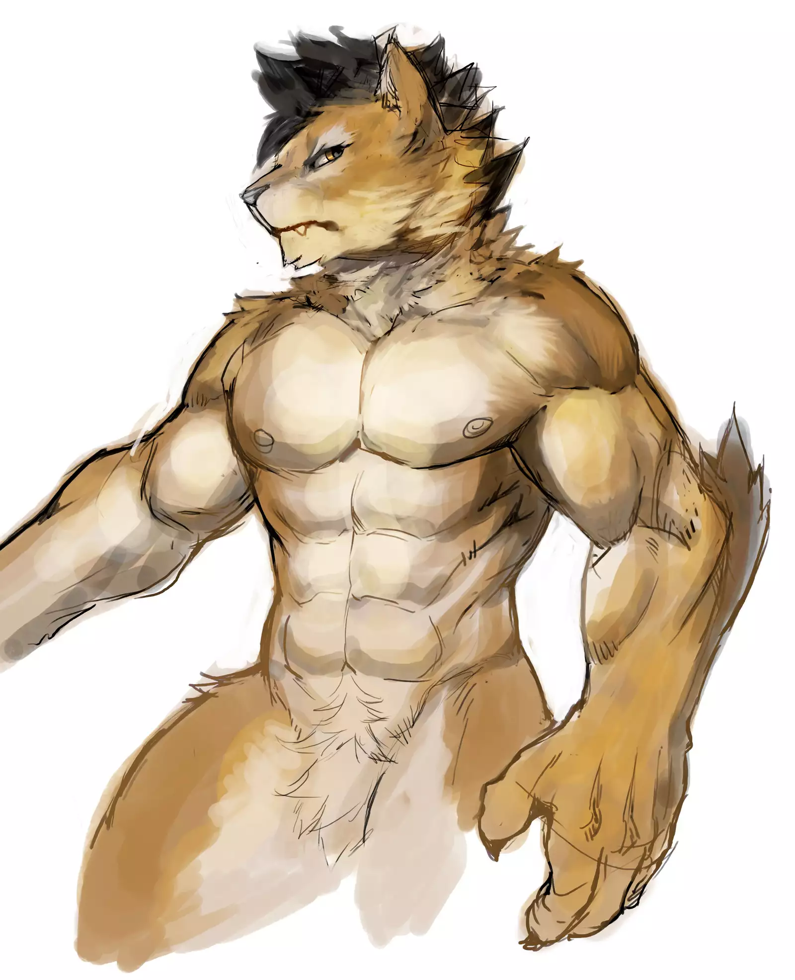 Nekojishi February 2018 Package Reward