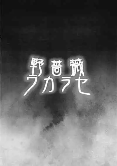 [Diogenes Club (Haikawa Hemlen)] Nobara Wakarase (Jujutsu Kaisen) [Digital]