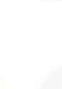 (C92) [Ikechika (Ikeshita Maue)] Intou no Susume (Fate/Grand Order) [Chinese] [沒有漢化]