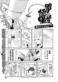 Bishoujo Kakumei KIWAME Road 2012-12 Vol.4 [Digital]