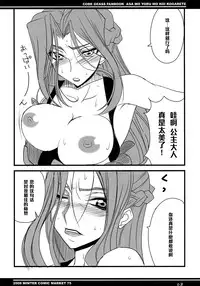 (C75) [BlueMage (Aoi Manabu)] Asa mo Yoru mo Koi Kogarete (CODE GEASS: Lelouch of the Rebellion) [Chinese] [黑条汉化]