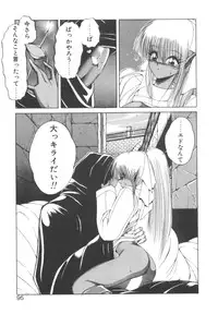 [Makoto Fujisaki] Dark Wirbel Vol 2