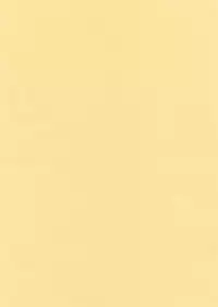 [Yamada Sansuke] Aoi inarizushi