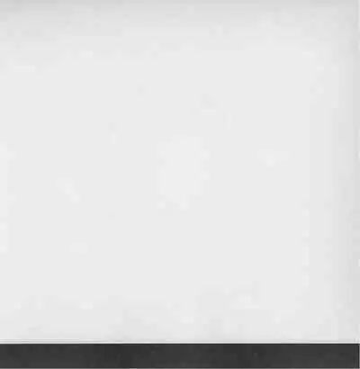 深い森の影から