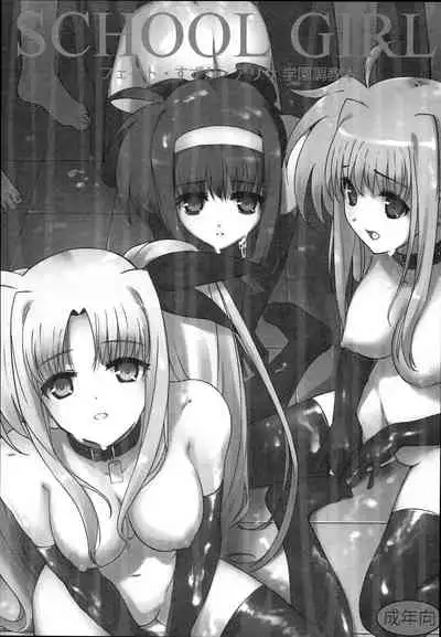 (C93) [Basutei Shower (Katsurai Yoshiaki)] SICOSICO COLLECTION 01 (Mahou Shoujo Lyrical Nanoha) [Chinese]