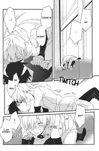 (SC48) [Blue-SYSTEMa (Usa)] Red, White, and Black (Durarara!!) [English]