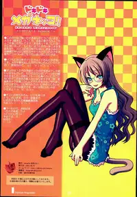 (C72) [Kimarinet (kimarin)] Dokidoki Meganekko!!