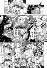 (COMIC1☆9) [Circle Taihei-Tengoku (Horikawa Gorou)] Himenin Hana Fubuki