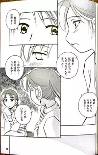 (C62) [PEACEVILLE (Yamane)] FIDDLE (Yokohama Kaidashi Kikou)