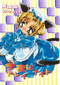 [Tokaidow Micty] Konya wa Dorei DE Night