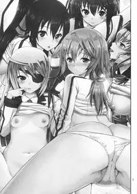 (COMIC1☆5) [Popochichi (Yahiro Pochi)] This is Harlem (Infinite Stratos)