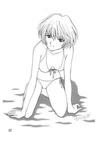 (C74) [Rokumen Roppi (Various)] Eva Hon (Neon Genesis Evangelion)