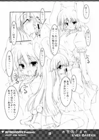 [COMIC1] [ASTRONOMY (SeN)] Ousa-sama no EVER GARDEN (Touhou Project)