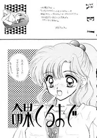 (C51) [Sailor Q2 (Ryö)] SFW Sailor Q2 Fuckin' Works (Bishoujo Senshi Sailor Moon)