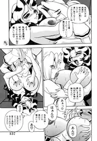 [Wingbird] - Kontoma Paradise