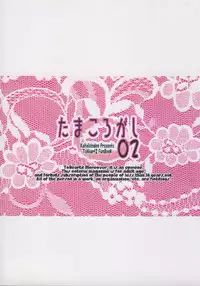 (C69) [Kaiteisinden (Rentaichou)] Tamakorogashi 02 (ToHeart2)
