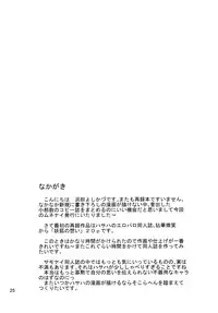 (C70) [Y no Shokutaku (Hamada Yoshikadu)] Munenai (Summon Night)