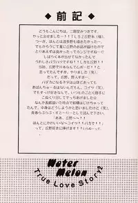 (C56) [ZOKU (Nikaidou Mitsuki)] Water Melon (True Love Story 2)