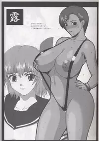 (SC19) [A-office (Yumi Ichirou)] Kikan Tomomi Ichirou Dai 4 Gou 2002 Nen Natsu Aki Fuyu Daigappeigou (Dead or Alive)