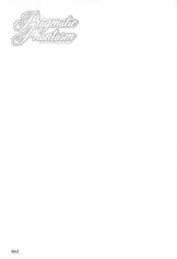 (C80) [Reverse Noise (Yamu)] Pragmatic Phantasm (Touhou Project)