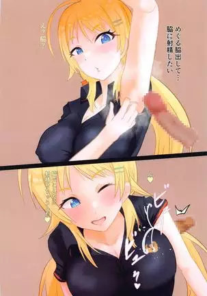 shanieromatomehon1.5ver