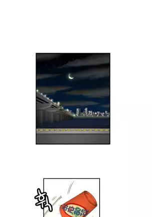 Chauffeur Service Ch.1-30.5