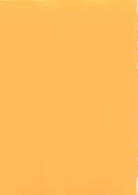 [Tokaidow Micty] Konya wa Dorei DE Night