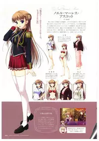 Walkure Romanze More & More Visual Fan Book