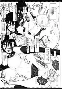 (C92) [Zettai Shoujo (RAITA)] Mahou Shoujo 17.0 (Zettai Junpaku Mahou Shoujo) [Chinese] [脸肿汉化组]