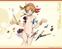 Eiyuu*Senki GOLD Visual Fanbook