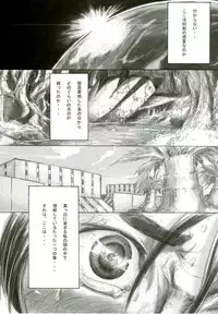 (C70) [Da Hootch (ShindoL)] Playmate of The Apes