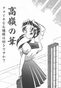 [Takaoka Motofumi] Maid Me Mad