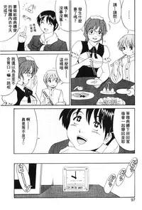 [Trochilidae] fighting queen 3 [Chiense]