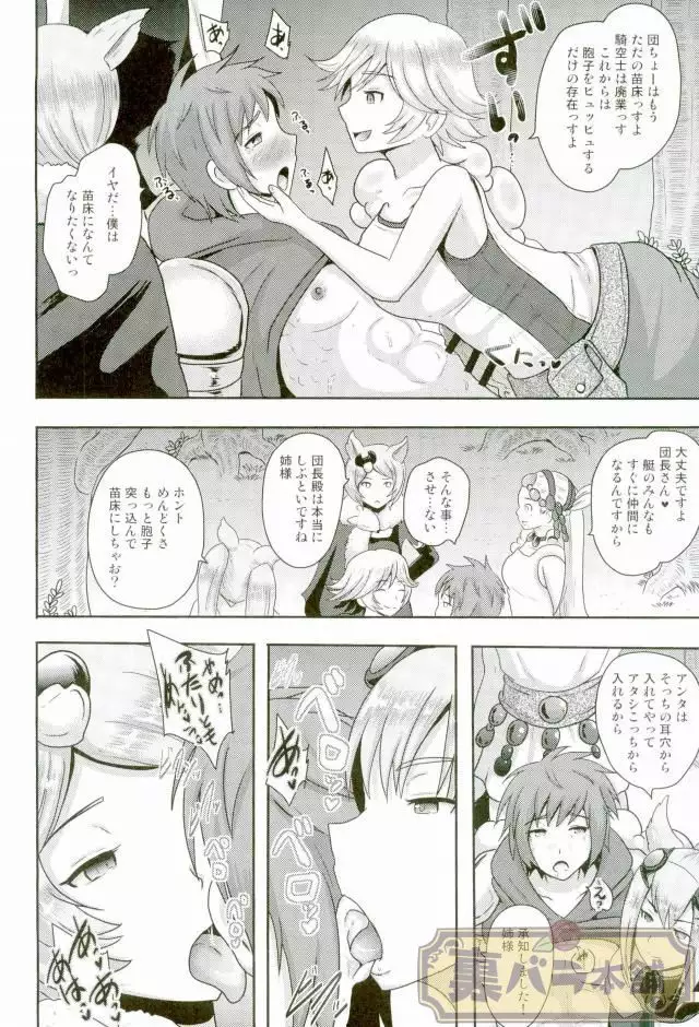 Naedoko Kikuushi Seedbed Sky Knight