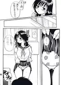 (SC21) [Okina Keikaku (Shiwasu no Okina)] Ichigo 800% (Ichigo 100%)