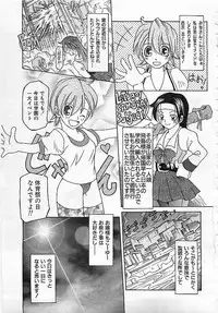 Colorful Bee 1999-10