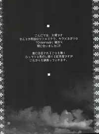 (C68) [Kouchaya (Ootsuka Kotora)] crossroad Hikari (Gundam SEED DESTINY)