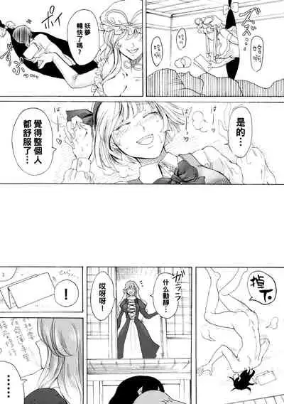 (C91) [Daiji na Koto wa Nikai mo Iwanai (Hasebe soutsu)] Higyaku Meguri (Touhou Project) [Chinese]