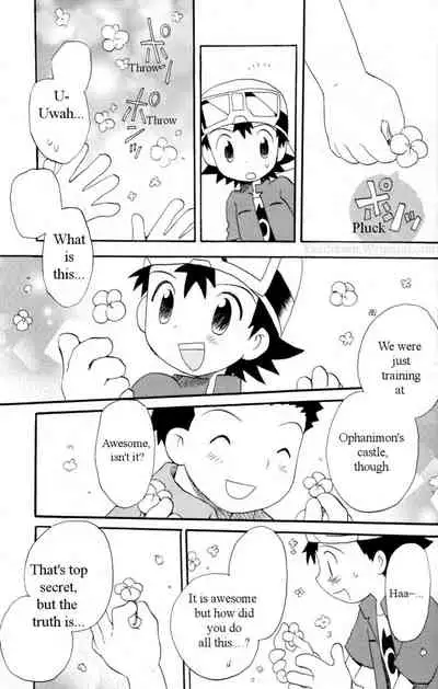 (HaruCC8) [KuruGuru DNA (Hoshiai Hilo)] Hana mo Arashi mo Fumikoete | To Overcome Flowers and Storms (Digimon Frontier) [English] [yaoihaven]