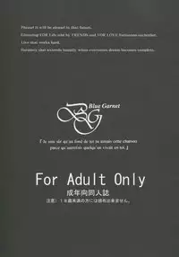 [Blue Garnet (Serizawa Katsumi)] NEXT Lv0 (Persona 4)