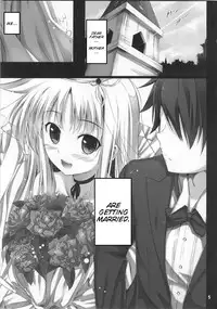 (C80) [IV VA SHIN (Mikuni Mizuki)] Home Sweet Home ～ Fate hen ～ (Mahou Shoujo Lyrical Nanoha) [English] [Team Vanilla + Trinity Translations Team]
