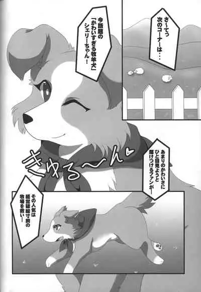 (Kansai! Kemoket 3) [PPOINO! (Various)] Boda kon