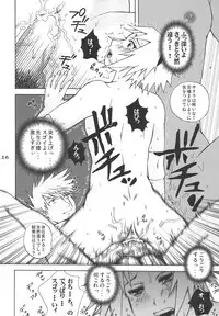 (C68) [Harem (Mizuki Honey)] Ninja Girl's Diary (Naruto)